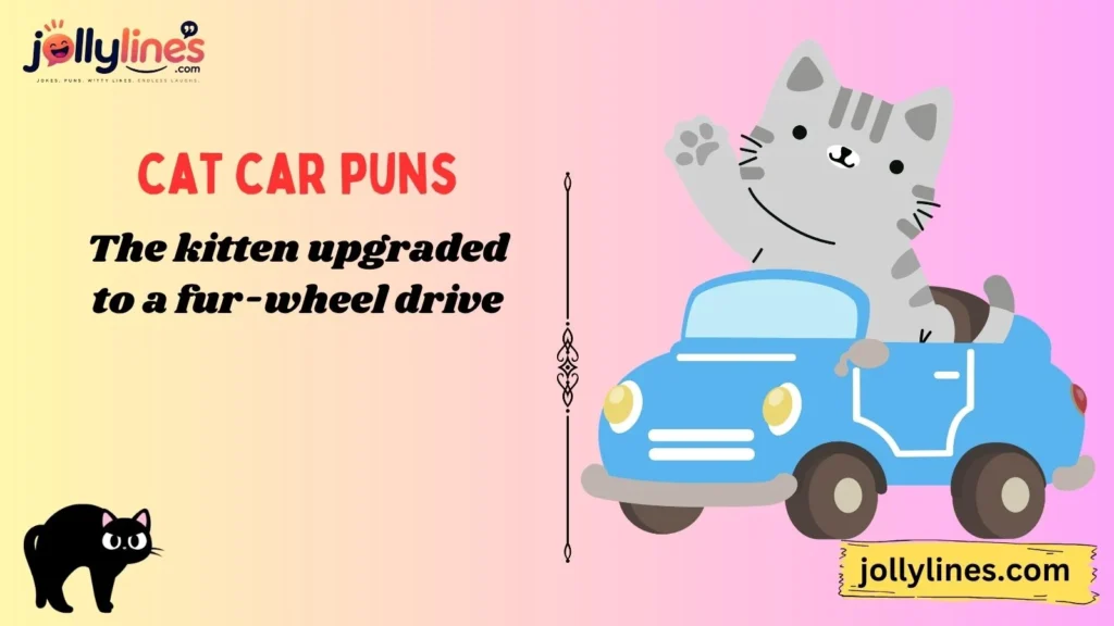 Funny Cat Car Puns
