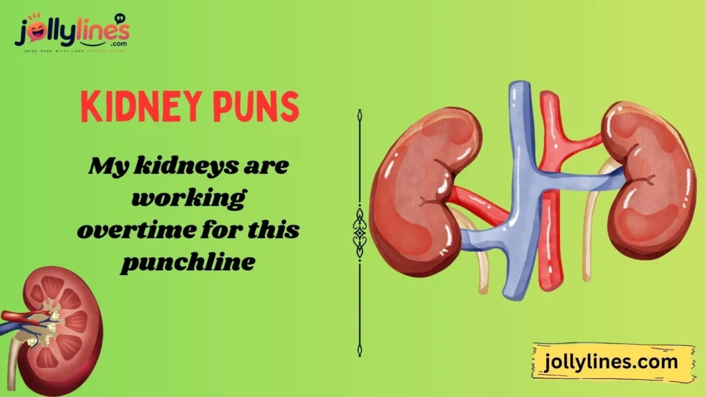 Funny Kidney Puns