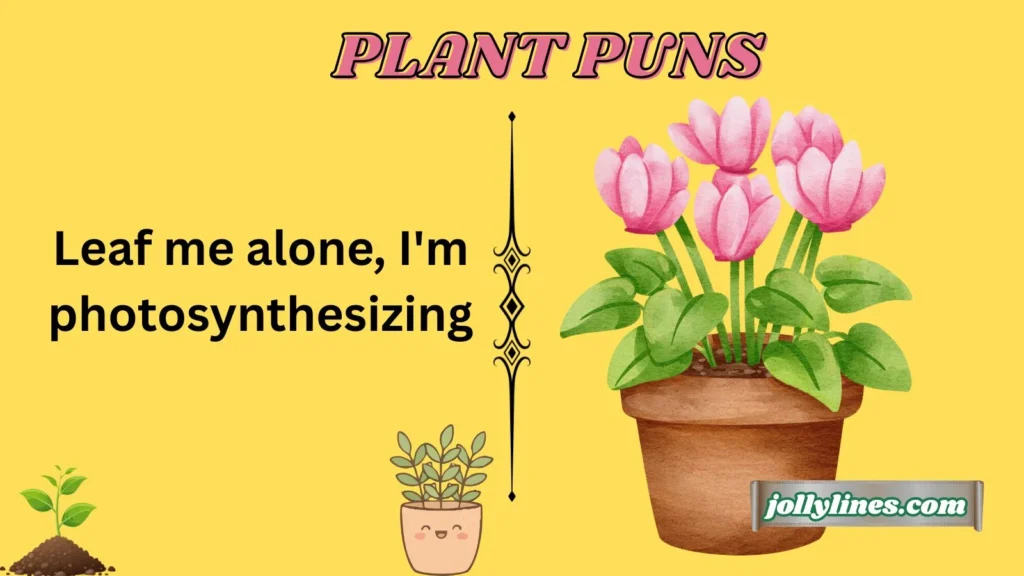Funny Plant Puns for Everyday Laughs