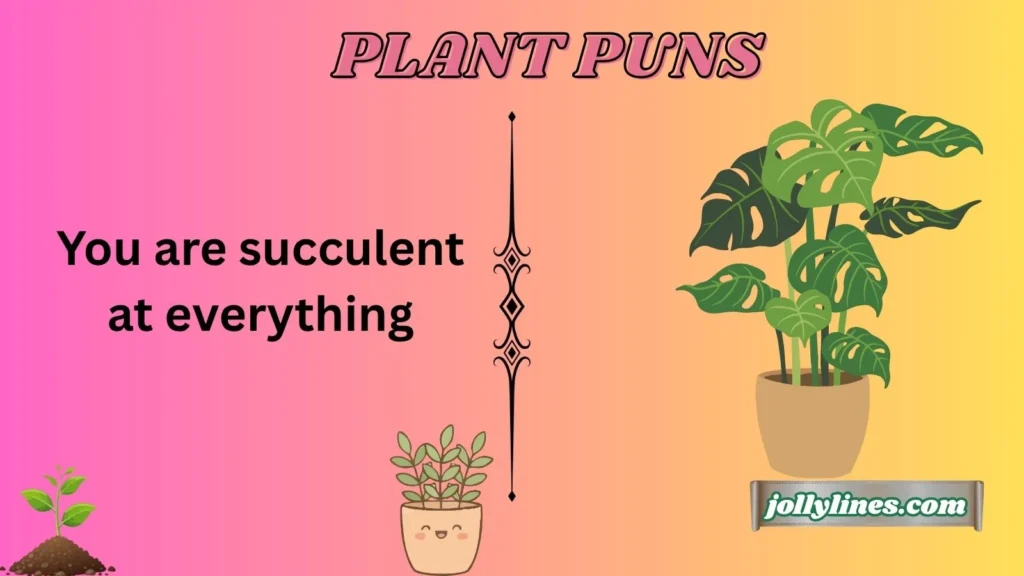 Succulent Plant Puns