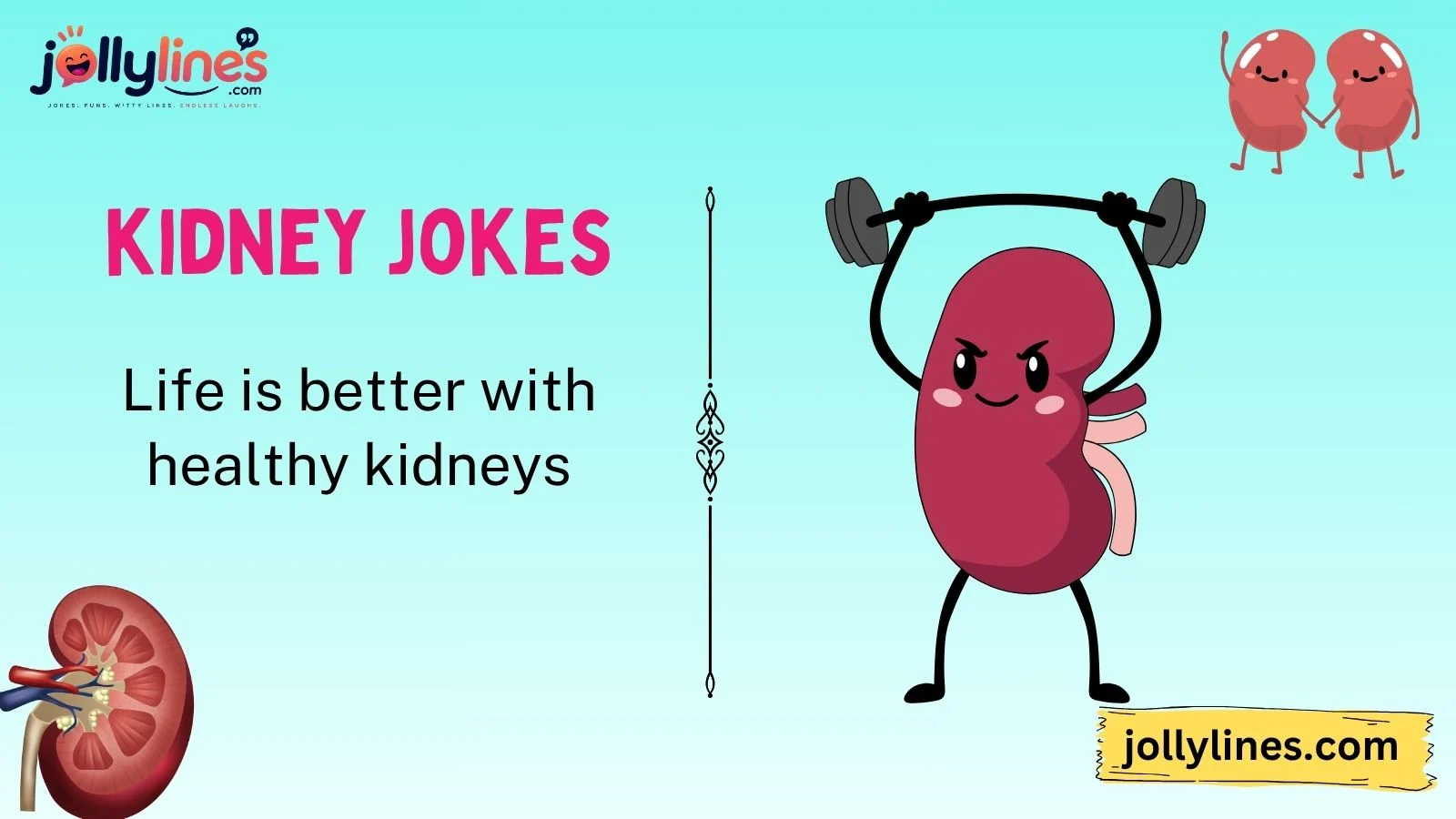 kidney jokes