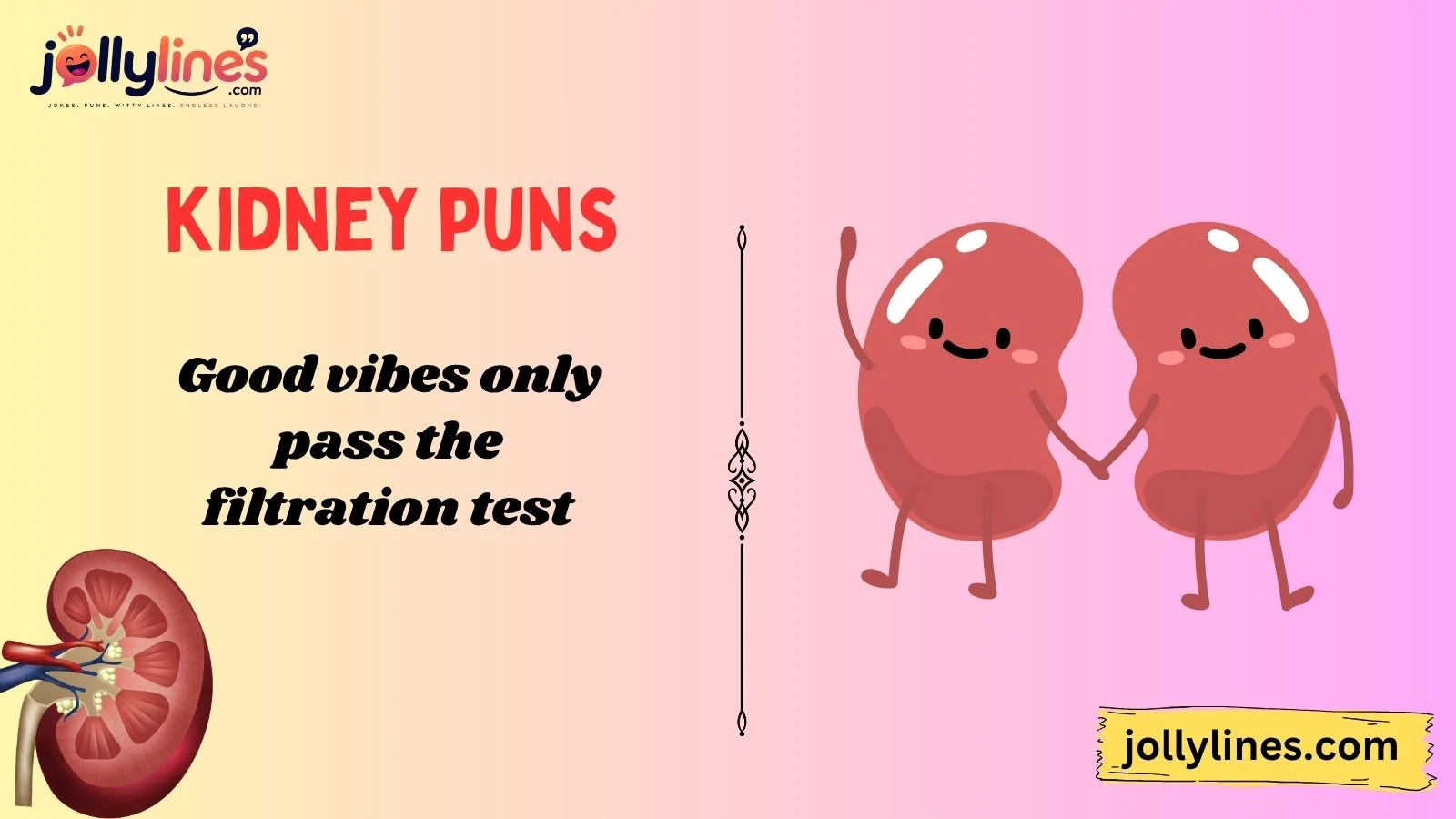 kidney puns